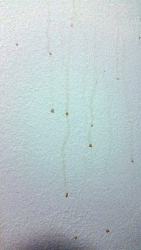 Condensación en la pared del baño después de una ducha