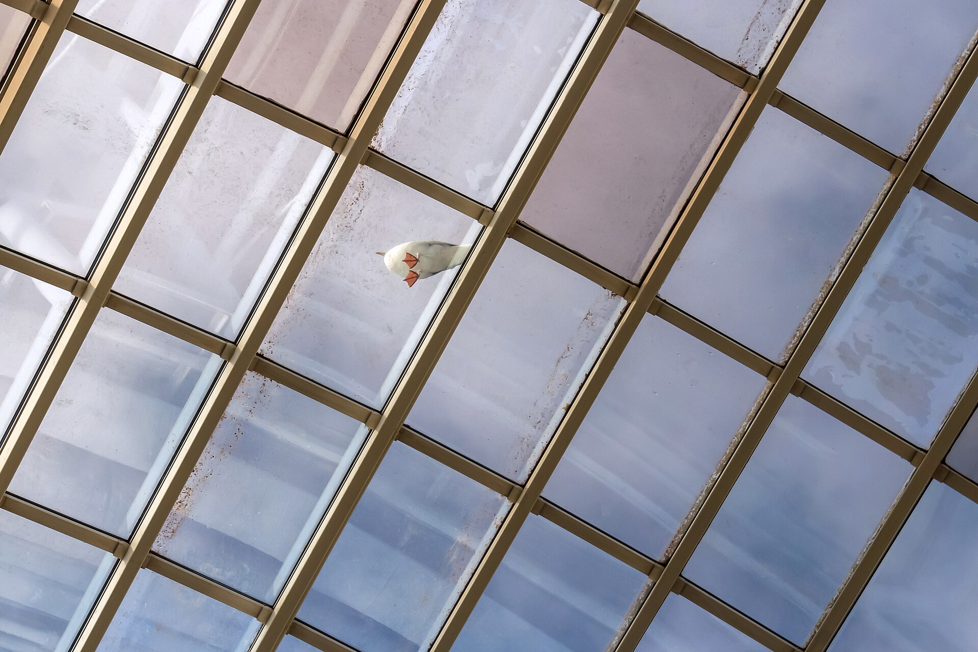 Cristal con entrada de luz solar donde una lámina puede ayudar a reducir calor